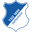 1899 Hoffenheim logo