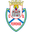 Feirense logo