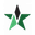 Al Najma logo
