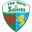The New Saints logo
