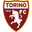 Torino logo