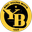 BSC Young Boys logo